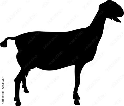 Nubian Goat Vector Silhouette Stock Vector | Adobe Stock