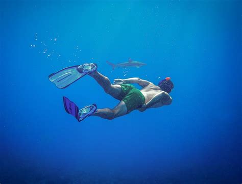 5 Best Snorkeling Spots In Kona