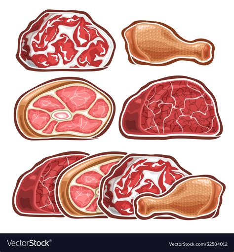 Set different raw meat Royalty Free Vector Image