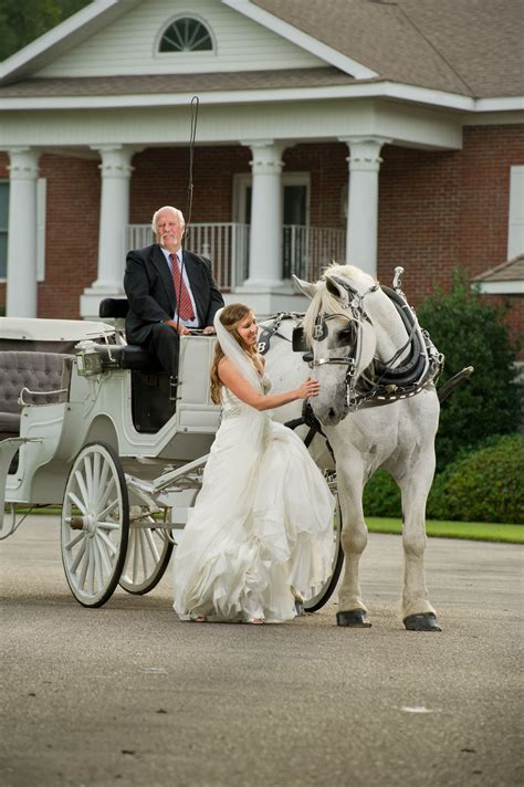 Pin by Bay Limousine Service/ BLS Cha on Horse and Carriage Serivce of ...