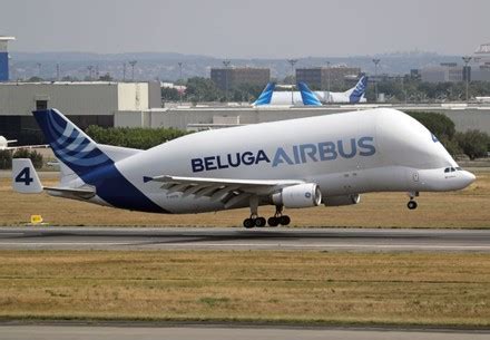 250 Airbus beluga Stock Pictures, Editorial Images and Stock Photos | Shutterstock