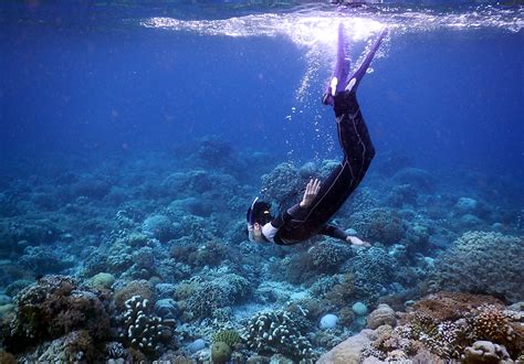 SNORKELING of BUNAKEN CHA CHA NATURE RESORT