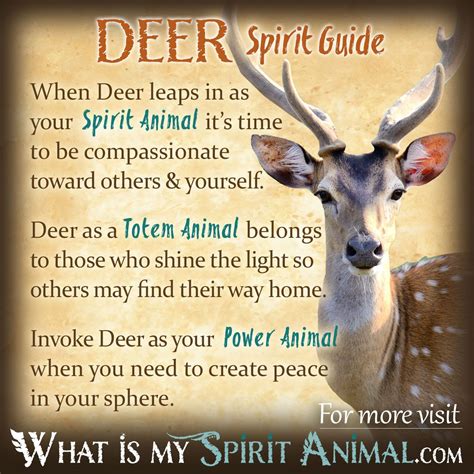 The Spiritual Meaning of Deer: Uncovering the Mystical Significance • Air Gun Maniac