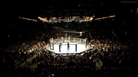 Image result for ufc ring | Ufc, Ufc fight card, Ufc fighters