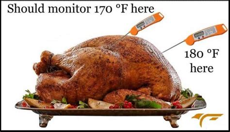 Where to Place a MEATER Thermometer in Your Turkey for Perfect Results ...