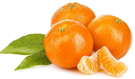 Mandarin Orange | Mandarin Exporters in Pakistan | Saremco