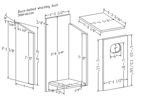 Black-bellied Whistling Duck House - 70birds Birdhouse Plans