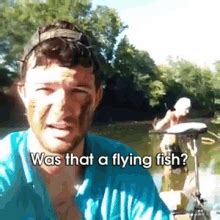 Flying Fish Fish Slap GIF - Flying Fish Fish Slap - Discover & Share GIFs