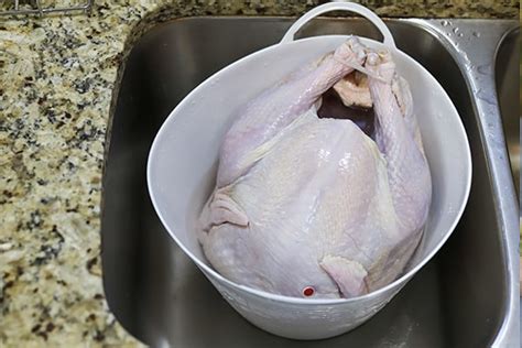 How to Defrost a Turkey for Thanksgiving | AlphaTek Appliance