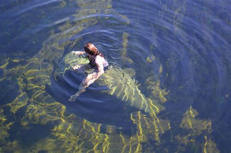 Manatee encounter, Wakulla Spring, Florida. Rhyme And Reason, Manatee ...