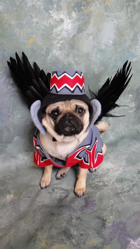 Mutt Mad, Marketplace for Dogs | Dog halloween costumes, Pet costumes, Best dog costumes