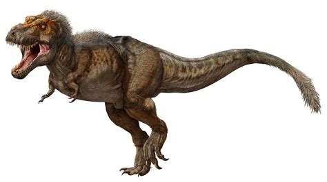 T. rex discovered in Canada is the biggest and oldest ever found ...