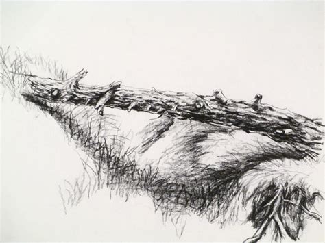 fallen tree log bridge bark art print 8 x 12 of by WingedCavalcade