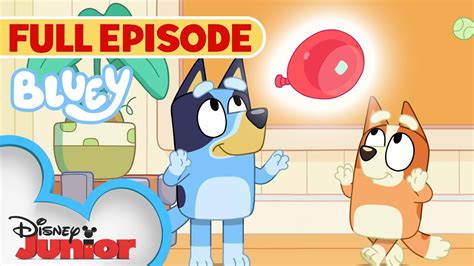 Hotel Bluey Full Episode! Bluey, 48% OFF | micoope.com.gt