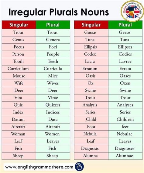 Pin by Dragomir Madalina on English lessons | English grammar ...