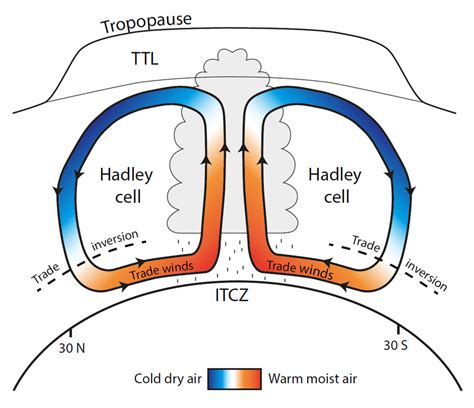 The Equatorial Climate (Hadley Cell) Diagram | Quizlet