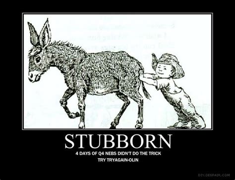Funny Quotes About Being Stubborn. QuotesGram