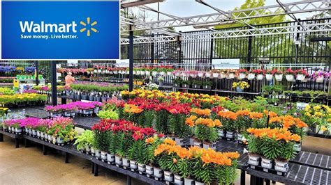 Walmart Gardening Center Garden Spring & Summer Inventory May 2022 Come ...