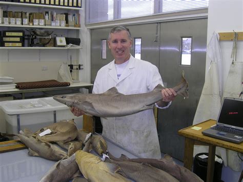 Ichthyology Research Associate David A. Ebert | California Academy of Sciences