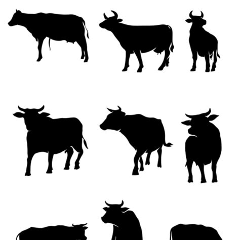 9 Silhouette Cow SVG Files | Master Bundles