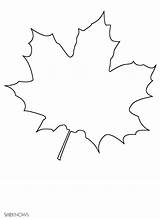 Printable Leaf Coloring Pages sketch template