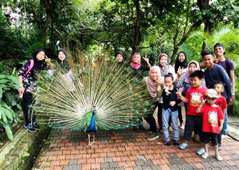 KL Bird Park (Kuala Lumpur Bird Park) - Lapakfjbku.com