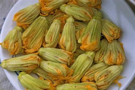 Quick and Easy Recipes for Zucchini Blossoms (Flowers)