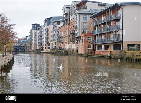 River wensum in norwich trees hi-res stock photography and images - Alamy