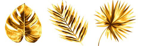 Golden tropical leaf png 15119151 PNG