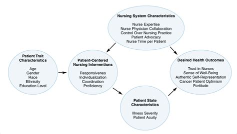 Nursing Conceptual Framework Model