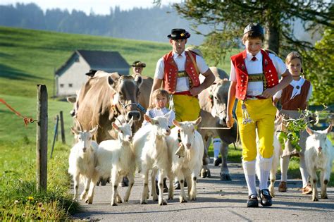 Why you should consider a summer holiday in the Swiss Alps