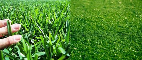 TURF VS GRASS - PROS AND CONS - My Backyard Sports