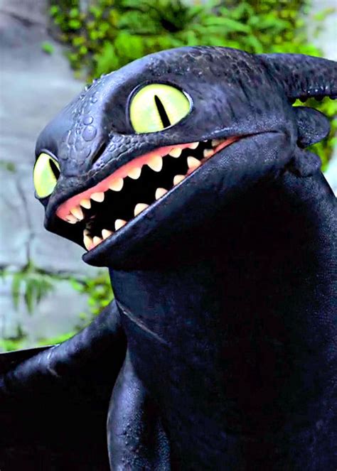 Toothless ☆ - Toothless the Dragon Photo (32975543) - Fanpop