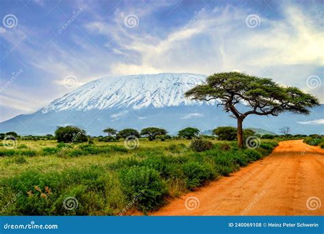 Pictures of the Snow-covered Kilimanjaro in Kenya Stock Photo - Image ...