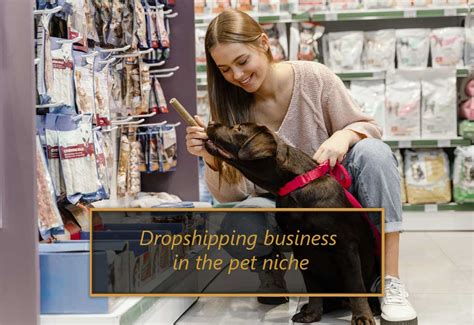 A Beginner's Guide to Dropshipping Pet Products in 2023