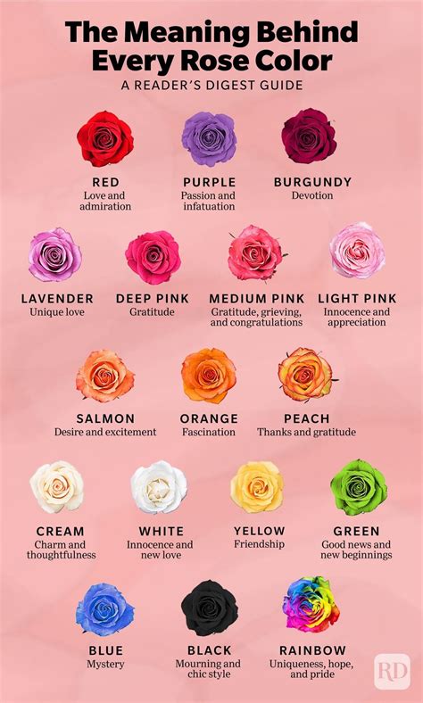 17 Rose Color Meanings to Help You Pick the Perfect Bloom Every Time ...