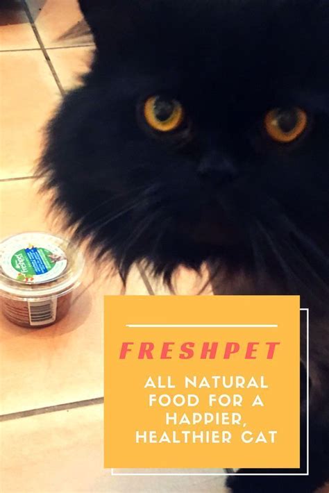 Freshpet Pet Food: Fresh, All Natural Food For A Happier, Healthier Cat ...