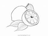 Lemons 1 Coloring Page For Kids  Free Lemon Printable Pages sketch template