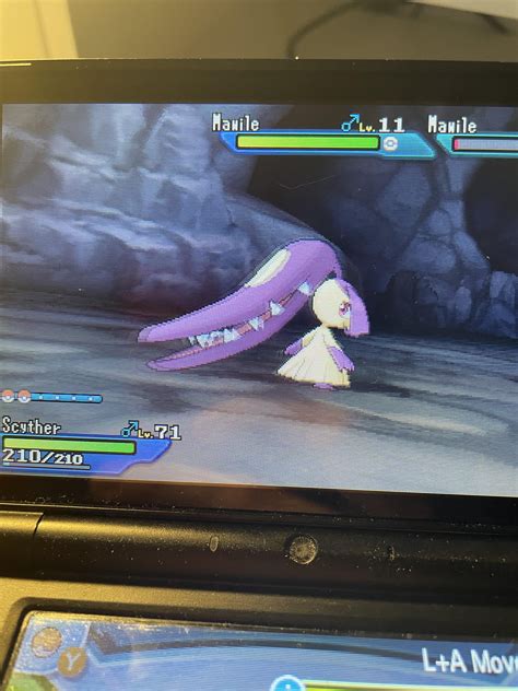 [gen 7] I found a shiny Mawile after a mere 22 sos calls, and I now ...