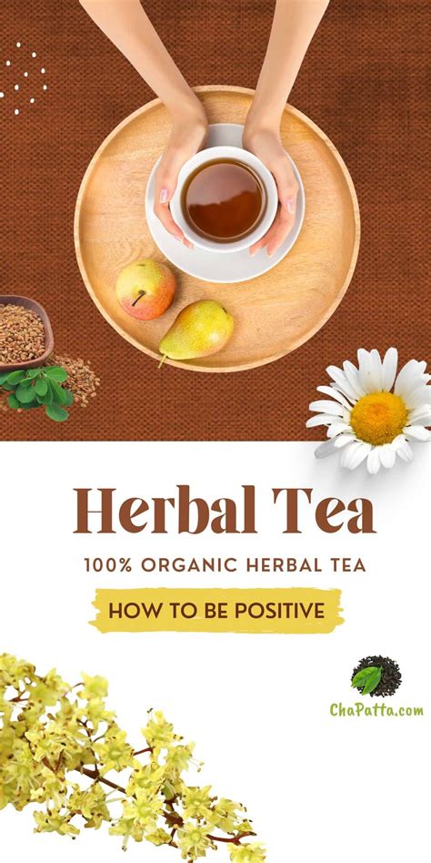 Herbal Tea Benefits You Should Know | ChaPatta