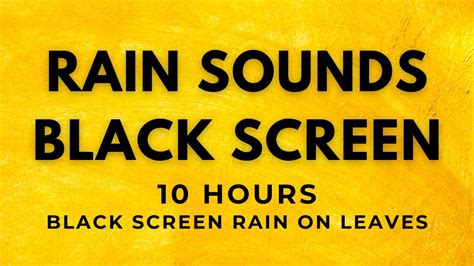 Black Screen Rain Sounds - Soothing Rain Sounds on Leaves 10 Hours of ...