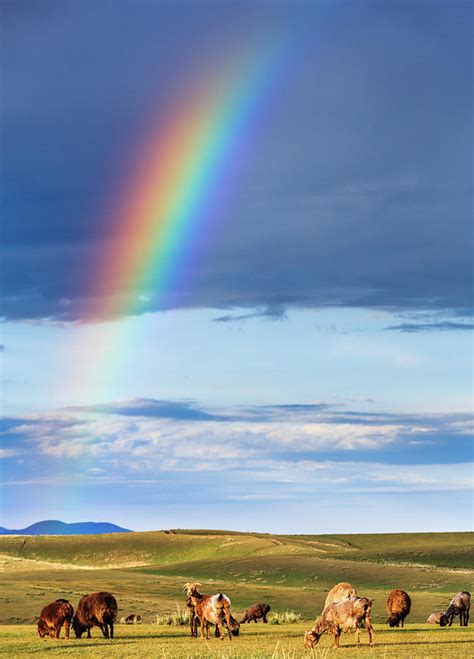 Rainbow After Rain by Feng Wei Photography