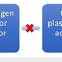 Schematic flow chart illustrating the role of plasminogen activator... | Download Scientific Diagram