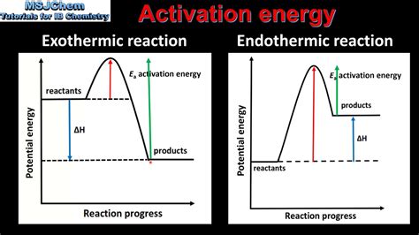 Which Molecule Provides The Activation Energy That Starts Glycolysis ...