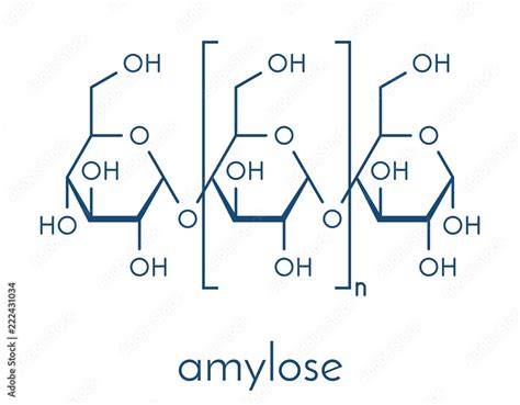 Amylose polysaccharide polymer, chemical structure. Component of starch ...