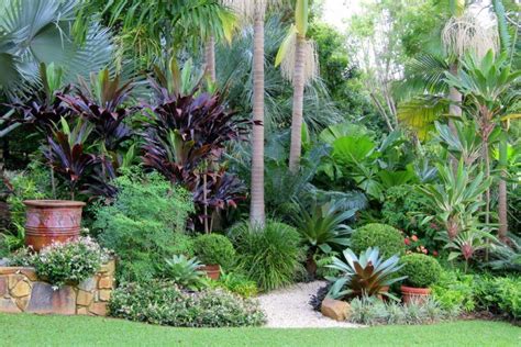 a garden filled with lots of different types of trees and plants in ...