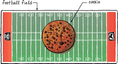 The World’s Biggest Cookie | Immaculate Baking Company The World’s Biggest Cookie