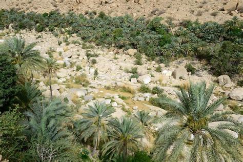 Wadi Tiwi (5) | Sur | Pictures | Oman in Global-Geography