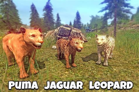 Furious Big Cats Simulator APK for Android Download