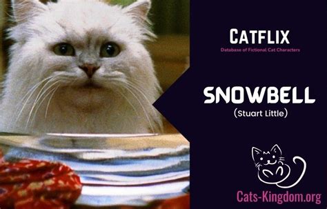 Meet Snowbell: the cat from Stuart Little (Trivia, Role, Breed)